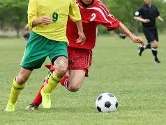 张欣尧就早,年微博发言,致歉,开元体育官网,开元棋牌官网在线娱乐平台