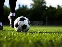 厦门环东文,旅在陕西赛,事中惨遭败,开元体育官网,开元棋牌官网在线娱乐平台