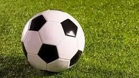 日本奥运代表团副主席田岛幸三新冠病毒检测呈阳性